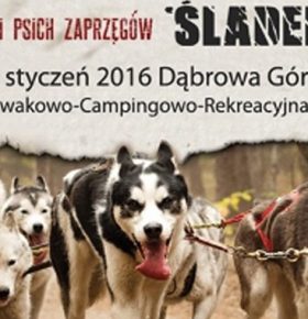 Wyścigi Psich Zaprzęgów Śladem Bobra