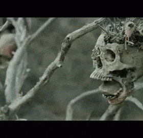Bone Tomahawk premierowo w Kinie Helios