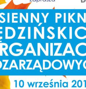 Piknik Organizacji Pozarządowych
