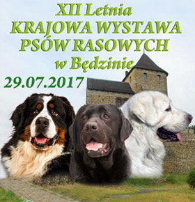 XII Letnia Krajowa Wystawa Psów Rasowych w Będzinie