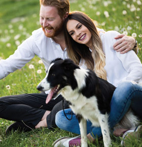 Piknik rodzinny +4łapy