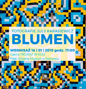 Wernisaż Julia Karasiewicz Pałac Schoena Sosnowiec