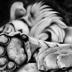 Wystawa Artystów z Indii MM Sztygarka Dąbrowa Górnicza