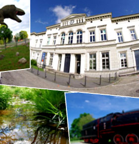 Piknik Europejski Urząd Miasta Sosnowiec