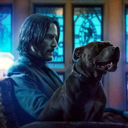 John Wick 3 premierowo w Kinie Helios