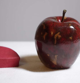 III Sosnowiecki Maraton Zumba Stawiki Sosnowiec