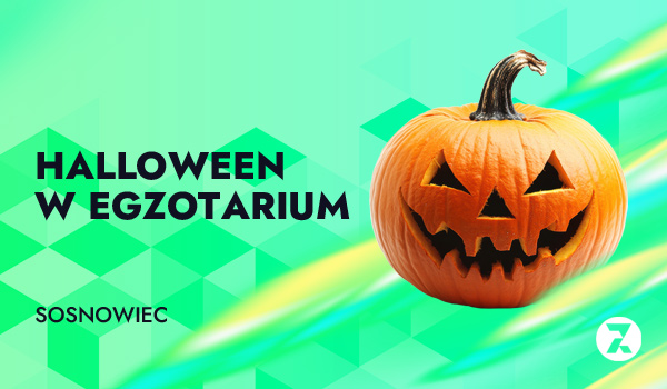 Halloween W Egzotartium Sosnowiec
