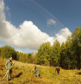 10. Zagórskie Sianokosy Zagórze Sosnowiec