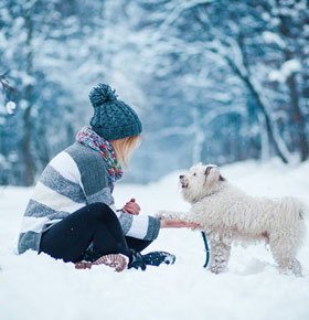 Warsztaty dla miłośników psów ArtKwarium Sosnowiec