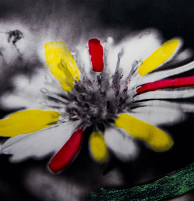 Wystawa fotograficzna Katarzyna Pawlikowska DK Ząbkowice Dąbrowa Górnicza