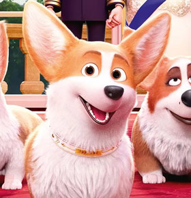 Helios Dla Dzieci – Corgi – Psiak Królowej Dąbrowa Górnicza