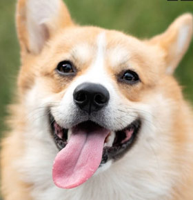 PSOTY 2021 Dąbrowa Górnicza – Fabryka Pełna Życia