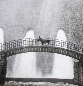 IO – Kino Konesera Helios Dąbrowa Górnicza