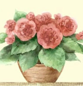 Targi Rodzinne Ogrody – Park Sielecki Sosnowiec