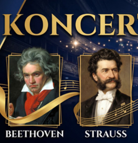 Koncert Królewski: Majestat klasyki od Beethovena po Straussa – MUZA Sosnowiec