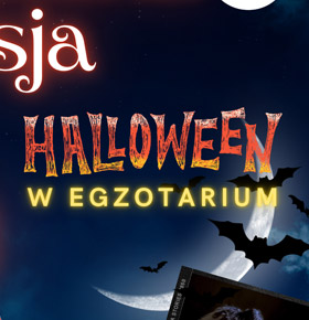 Halloween w Egzotarium Sosnowiec